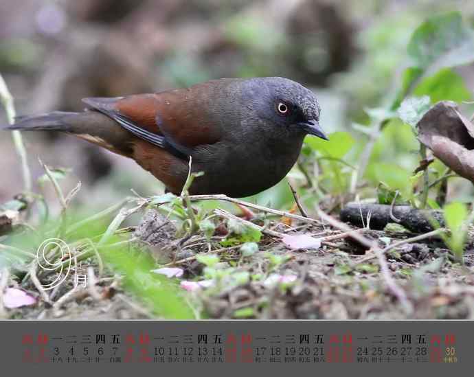 珍惜生命中的每一天-献给我的2012【图】