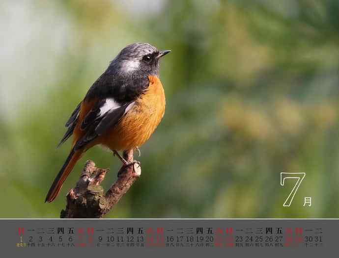 珍惜生命中的每一天-献给我的2012【图】