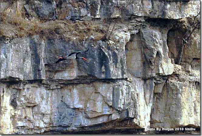  点击图片或使用键盘← →翻页