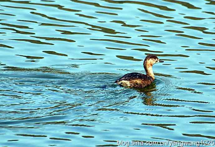 颐和园的收获（小PT）