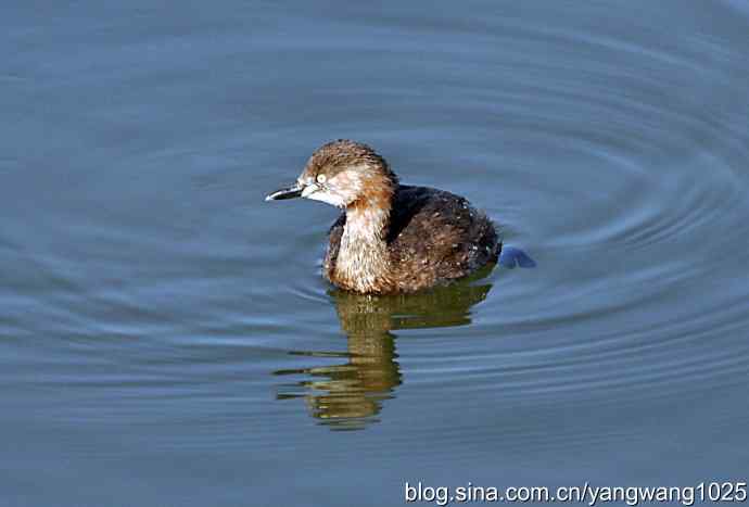 颐和园的收获（小PT）