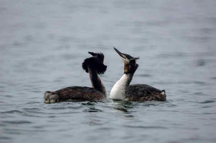 阳春三月闹爱情 阳春三月闹爱情