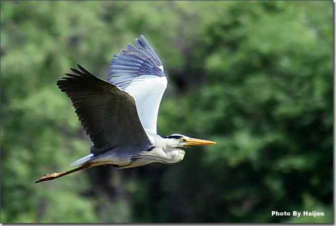  点击图片或使用键盘← →翻页