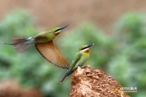 盛夏天拍鈥溊鹾矸浠⑩