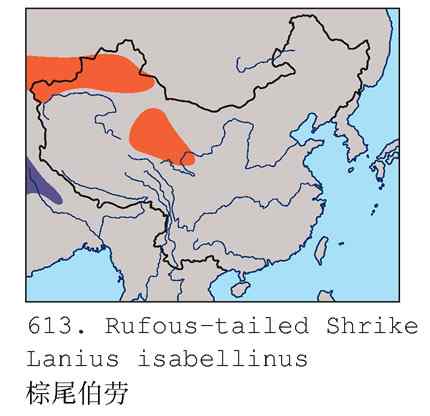 北疆鈥溗拇蟛外澥掌淙ㄗ橥迹8张图片）