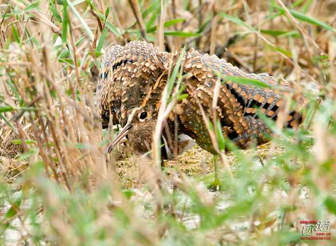 敬畏生命 敬畏生命