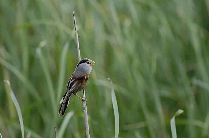 震旦鈥斺斁灾泄