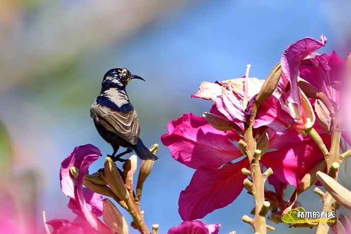 美丽邂逅鈥斺斪仙勰