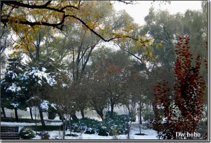 点击图片或使用键盘← →翻页