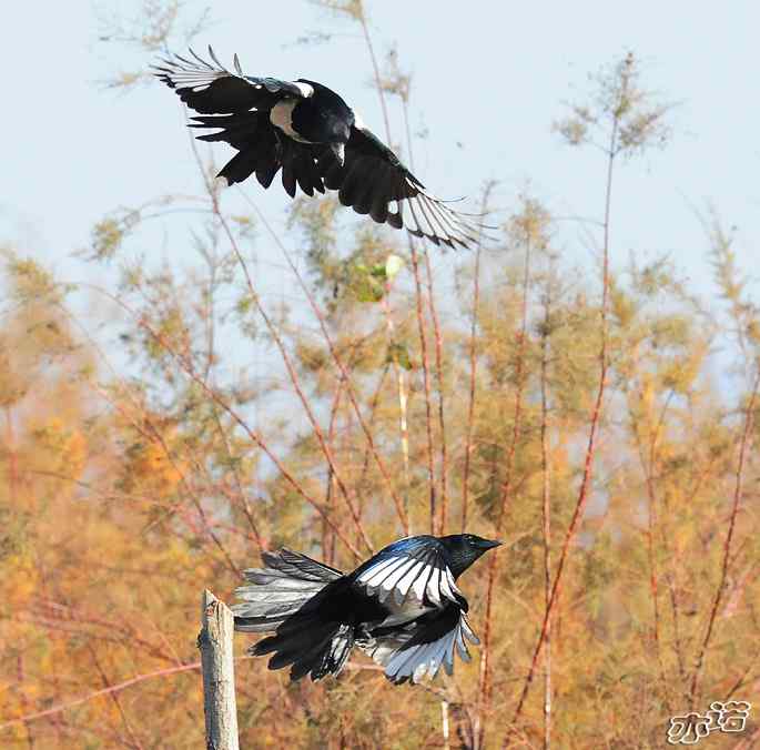 官厅水库&nbsp;wbr路&nbsp;wbr鈥湹刂麾澫踩