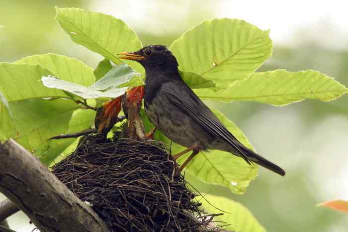 杭州老郑摄影续