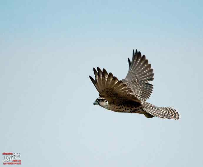 官厅水库 wbr路 wbr金秋十一猛 官厅水库 wbr路 wbr金秋十一猛