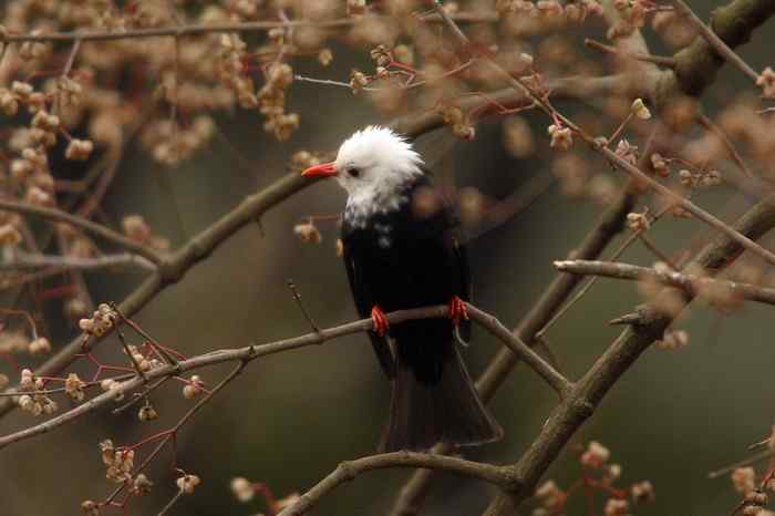 杭州老郑摄影续