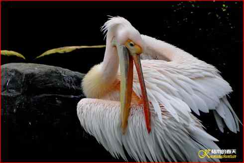 鈥湸蚰疋澬律睢菊掌