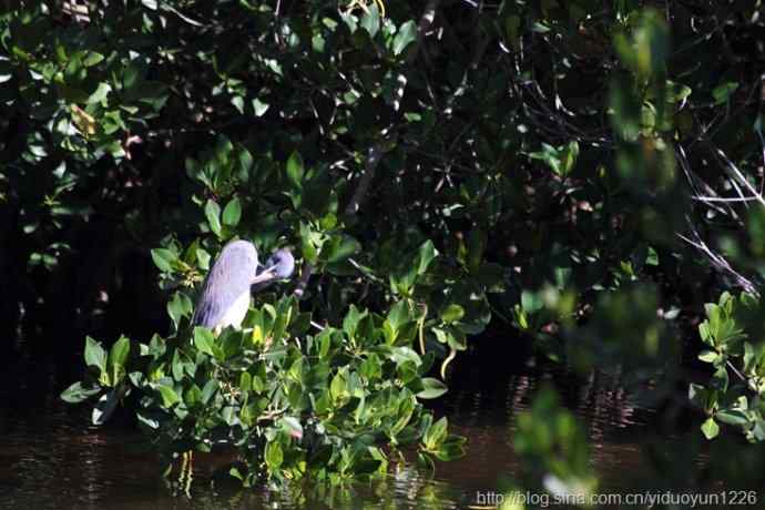 2012 Florida 124 2012 Florida 124