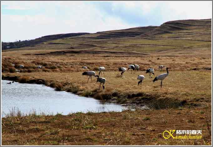 云南大山包鈥敽诰焙椎奶焯谩菊掌