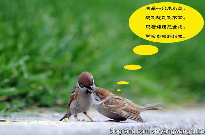 母爱（纪实篇）