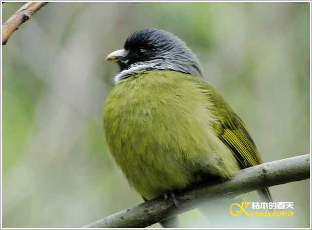 鈥湸蚰疋澦嫦搿菊掌