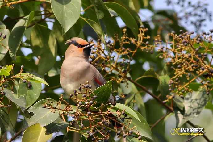 记录鈥溞√侥疋