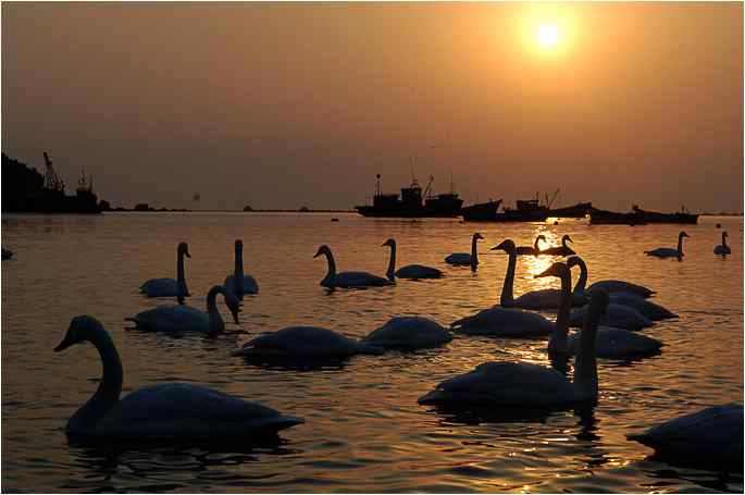 点击图片或使用键盘← →翻页