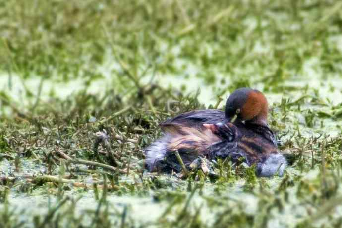 鈥溌杪栉乙...鈥