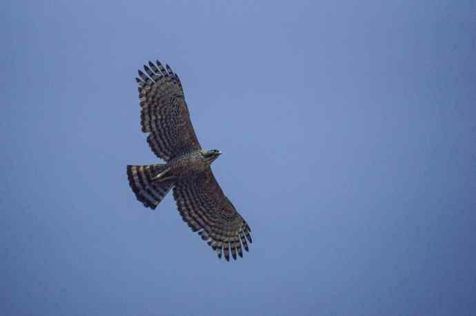 洋县朝圣鈥斺敯肯璧挠サ