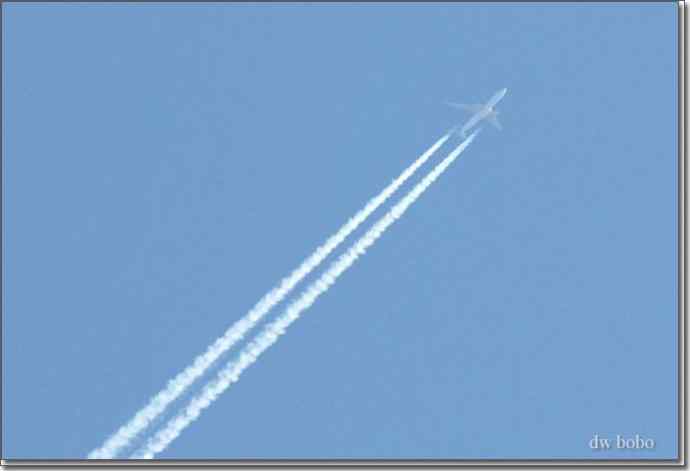 野鸭湖猛禽-红隼、短耳鸮、毛脚鵟 野鸭湖猛禽-红隼、短耳鸮、毛脚鵟