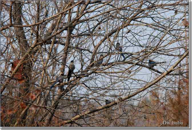 点击图片或使用键盘← →翻页