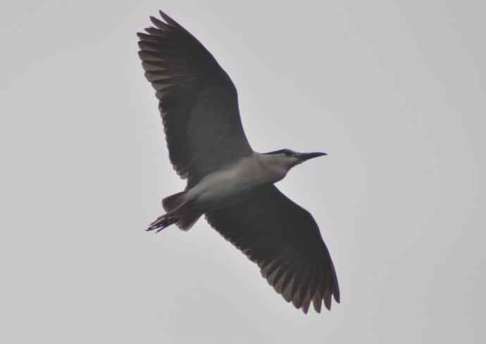 20100505当日总结