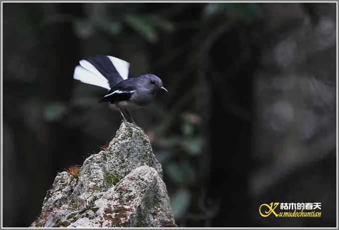 距离产生美【照片】 距离产生美【照片】