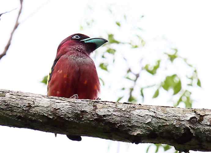 此情可待成追忆 wbr只是当时已惘然（我的阔嘴情缘）