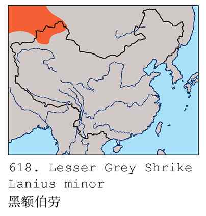 北疆鈥溗拇蟛外澥掌淙ㄗ橥迹8张图片）