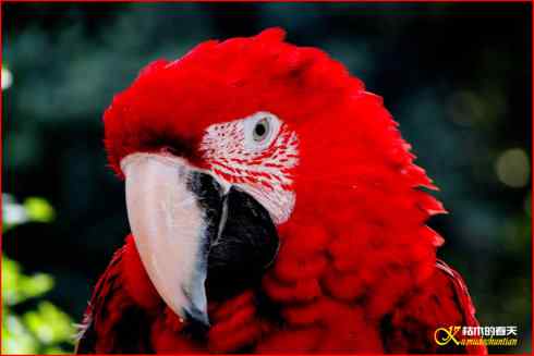 鈥湸蚰疋澬律睢菊掌