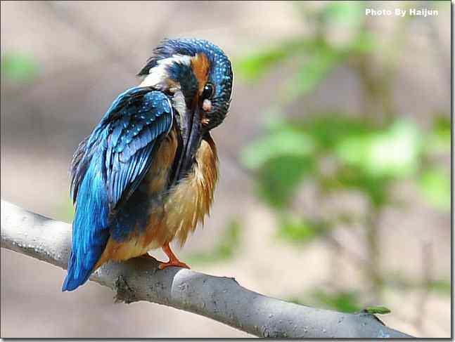  点击图片或使用键盘← →翻页