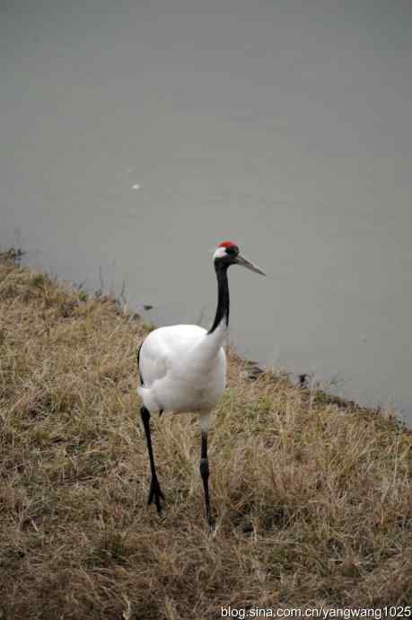 晚秋寻美 wbr wbr3