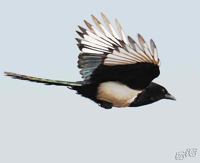 官厅水库&nbsp;wbr路&nbsp;wbr鈥湹刂麾澫踩