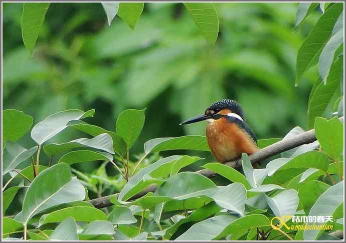 鈥溞〈溻澒槔础菊掌