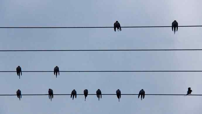 187.浙江缙云仙都农家乐（-）朱潭山鸟图