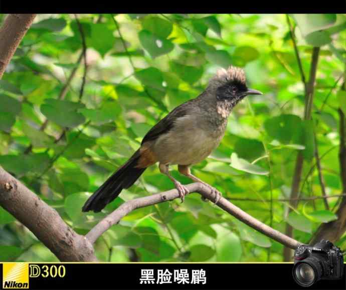 神奇的小池塘 神奇的小池塘