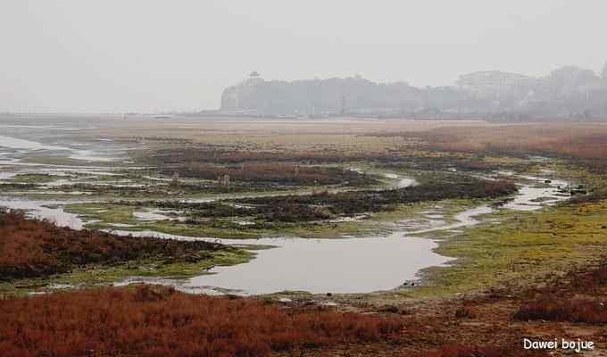 秋季到海滨来看鸟