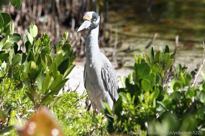 2012 Florida 130 2012 Florida 130