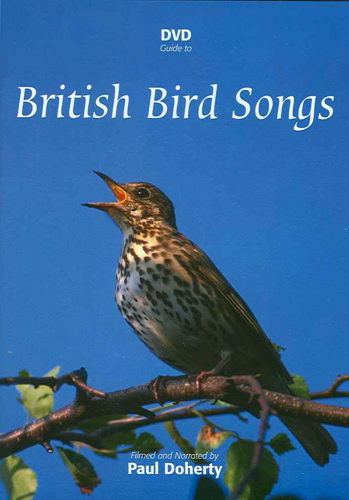来自英国网站的40多种鸟叫声