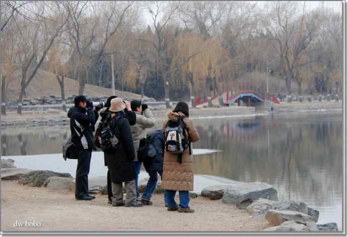 参加自然之友观鸟活动