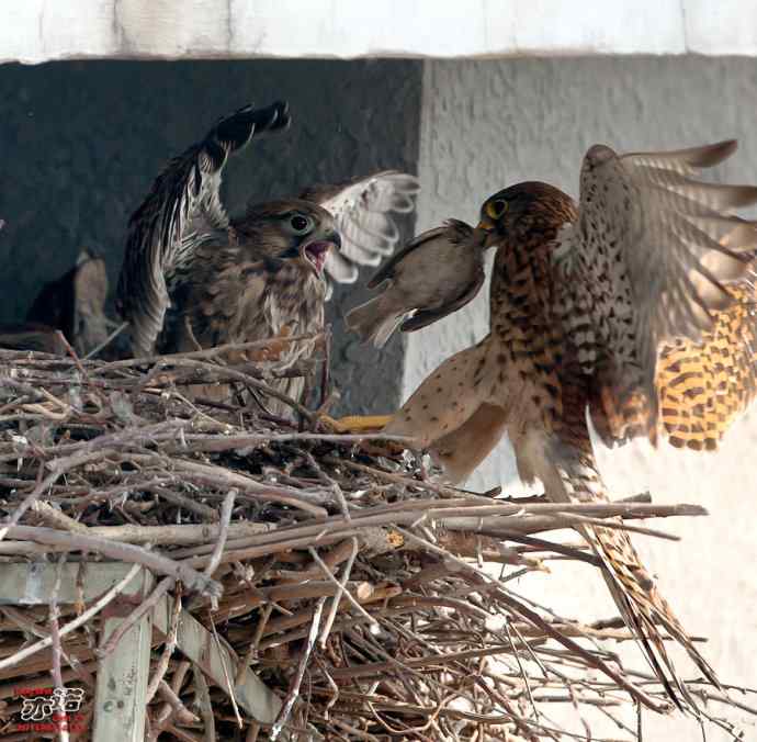 敬畏生命 敬畏生命