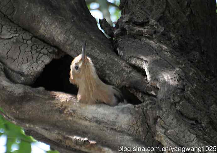 期盼（20分钟纪实片）