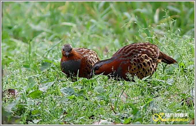 记录鈥溁倚刂窦︹潯菊掌
