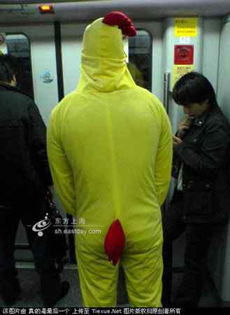 上海地铁再现行为艺术 公鸡兄弟