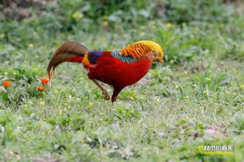 发一组鈥満旄菇跫︹