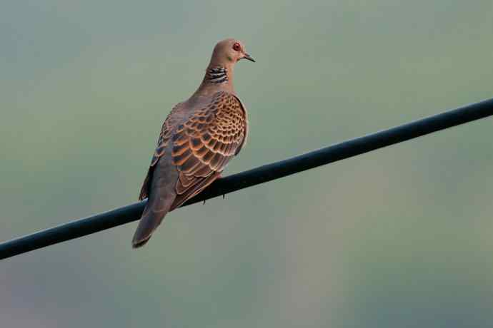 【综合】山间风景“线”
