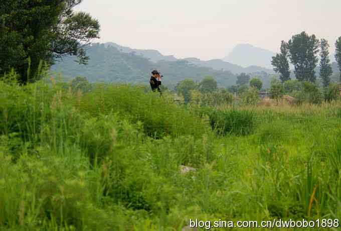 鸟友同游怀沙河